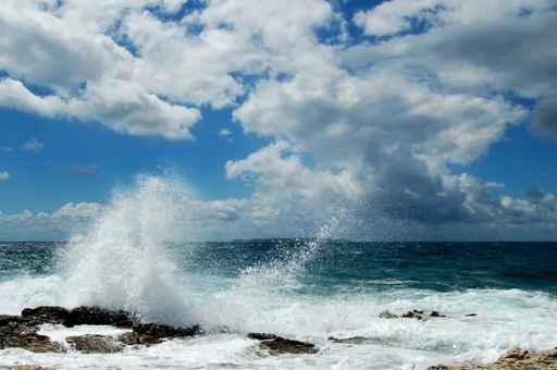 La Forza Del Mare Wall Decal
