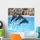 Synchronized Swimming Wall Decal