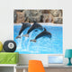 Synchronized Swimming Wall Decal