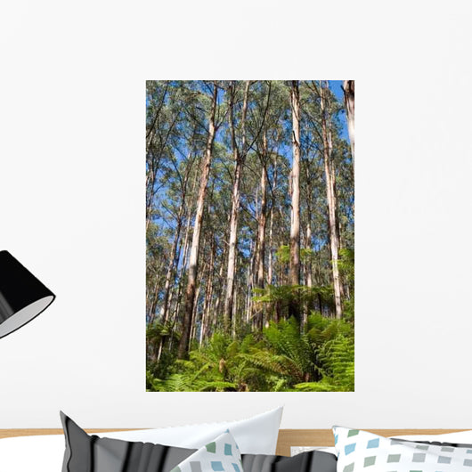 Tall Eucalypt Rainforest Wall Decal