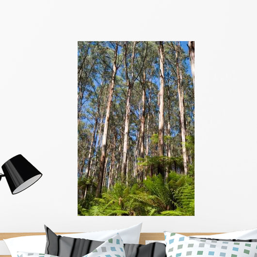 Tall Eucalypt Rainforest Wall Decal