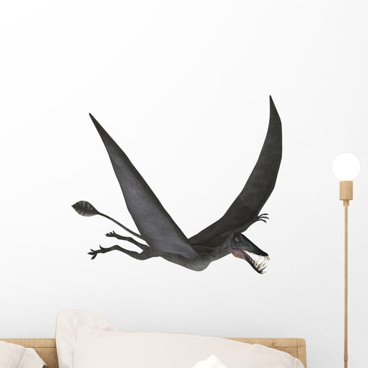 Dorygnathus Flying Wall Decal