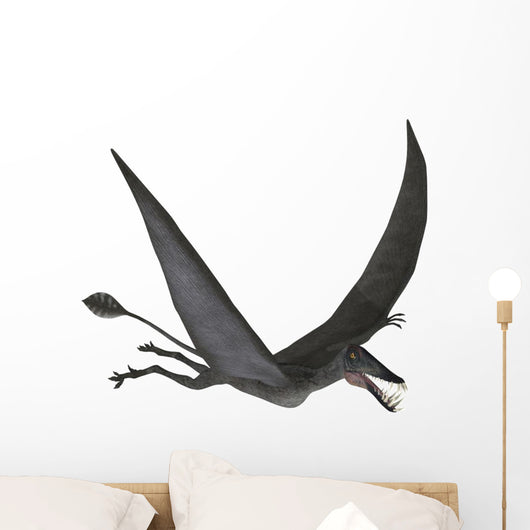 Dorygnathus Flying Wall Decal