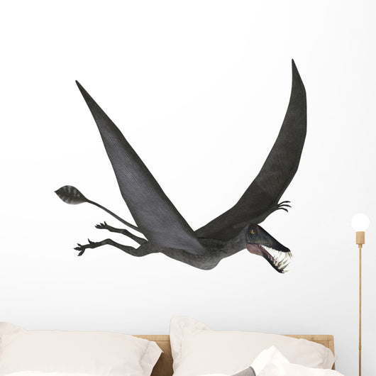 Dorygnathus Flying Wall Decal