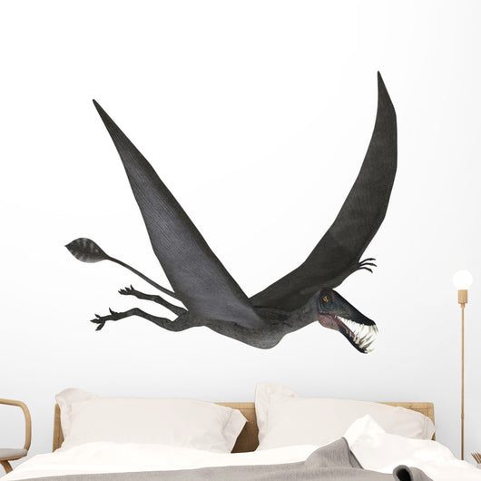 Dorygnathus Flying Wall Decal