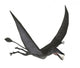 Dorygnathus Flying Wall Decal