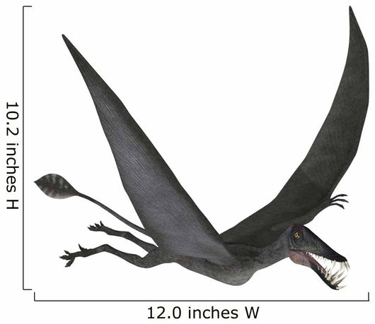 Dorygnathus Flying Wall Decal