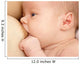 Newborn Sucks Mother's Breast