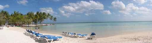 Plage Punta Cana Wall Decal