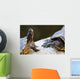 Red eared slider turtles Wall Mural