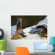 Red eared slider turtles Wall Mural