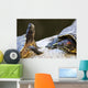 Red eared slider turtles Wall Mural