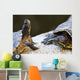Red eared slider turtles Wall Mural