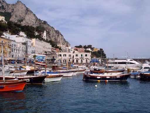 Capri Wall Decal Design 7