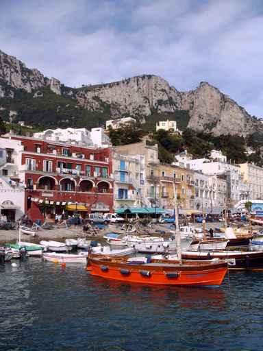 Capri Wall Decal Design 6