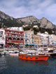 Capri Wall Decal Design 6
