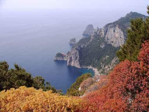 Capri Wall Decal Design 3