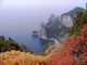 Capri Wall Decal Design 3