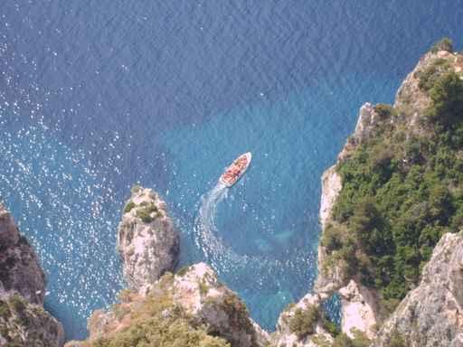 Capri Wall Decal Design 2