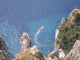 Capri Wall Decal Design 2