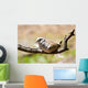 Morning Dove Wall Mural
