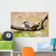 Morning Dove Wall Mural