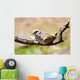 Morning Dove Wall Mural