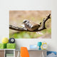 Morning Dove Wall Mural