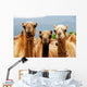 Camels Wall Mural