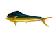 Dolphinfish Wall Decal