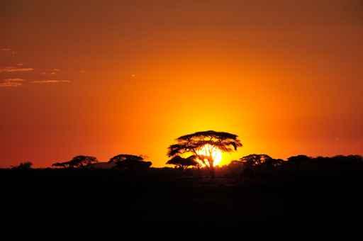 Sonnenuntergang Wall Decal