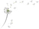 Dandelion Wall Decal