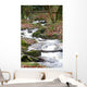 Rivia re 1 Wall Mural