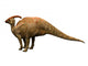 Parasaulophus Dinosaur