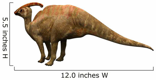 Parasaulophus Dinosaur