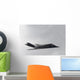 F-117 Nighthawk Aka Stealth Wall Decal