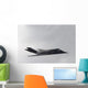 F-117 Nighthawk Aka Stealth Wall Decal