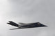 F-117 Nighthawk Aka Stealth Wall Decal