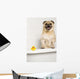 Dog Bath Wall Mural