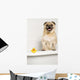 Dog Bath Wall Mural