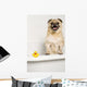 Dog Bath Wall Mural
