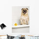 Dog Bath Wall Mural