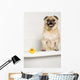Dog Bath Wall Mural