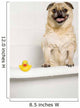 Dog Bath Wall Mural