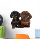 Dog Decals - Pair of Smooth-haired Dachshunds Wall Decal