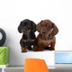 Dog Decals - Pair of Smooth-haired Dachshunds Wall Decal