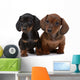 Dog Decals - Pair of Smooth-haired Dachshunds Wall Decal