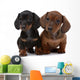 Dog Decals - Pair of Smooth-haired Dachshunds Wall Decal