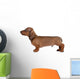 Smooth-Haired Dachshund Wall Decal