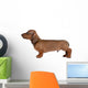 Smooth-Haired Dachshund Wall Decal